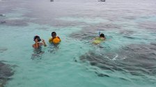 Snorkeling at Balicasag Island, Panglao